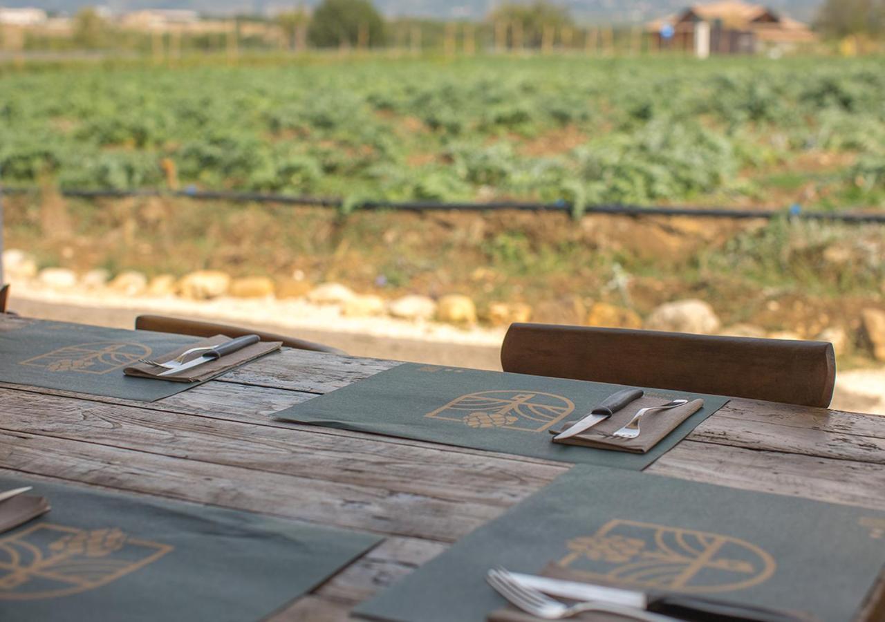 Casa Agricola Scorziello Villa Serre  Dış mekan fotoğraf