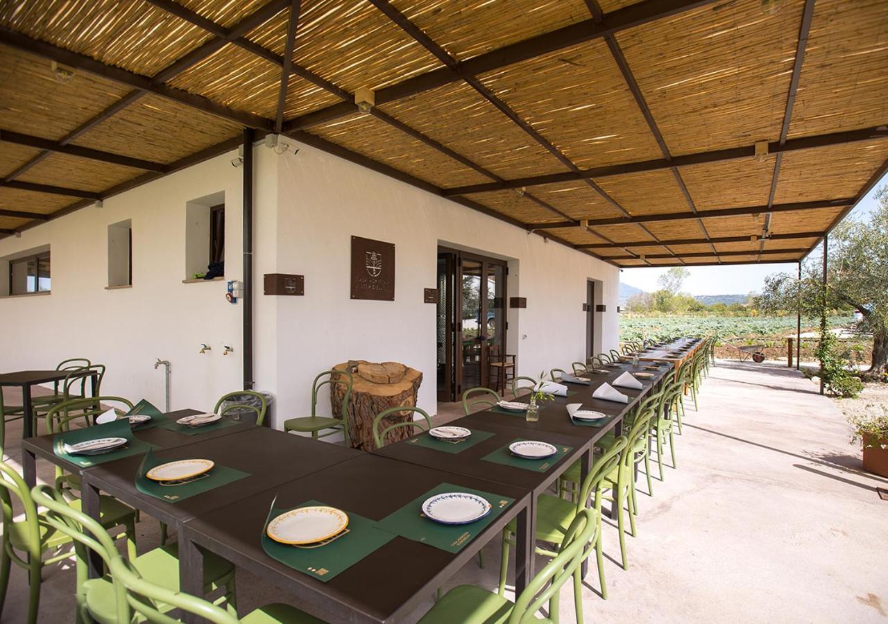 Casa Agricola Scorziello Villa Serre  Dış mekan fotoğraf
